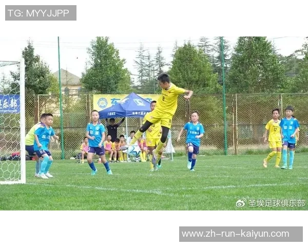 足球即是激情与梦想的交汇点让我们共同追逐绿茵场上的荣耀与友谊